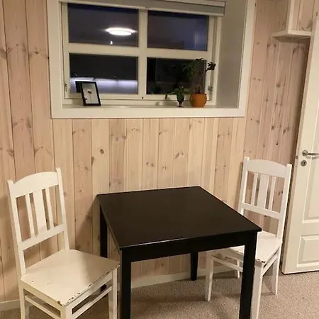 Fin Leilighet Naer Sentrum, Svinesund Og Hoyskolen 哈尔登