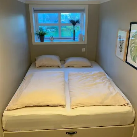Fin Leilighet Naer Sentrum, Svinesund Og Hoyskolen Apartment
